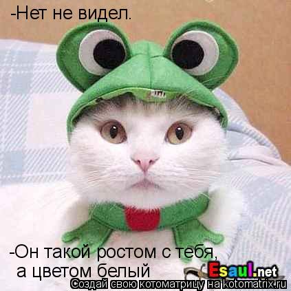 Котоматрица: -Он такой ростом с тебя, а цветом белый -Нет не видел.