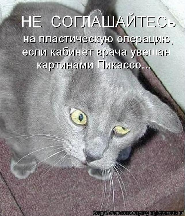 НE СОГЛАШАЙТЕСь на пластическую операцию, если кабинет врача yвешан картинами Пикассо...... Котоматрица: НE СОГЛАШАЙТЕСь на пластическую операцию, если кабинет врача yвешан картинами Пикассо...