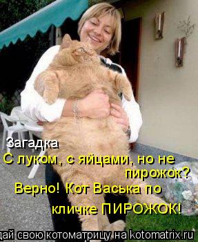 Загадка С луком, с яйцами, но не пирожок? Верно! Кот Васька по кличке ПИРОЖОК!... Котоматрица: Загадка С луком, с яйцами, но не пирожок? Верно! Кот Васька по кличке ПИРОЖОК!