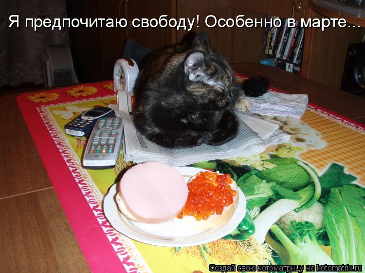 Я предпочитаю свободу! Особенно в марте...... Котоматрица: Я предпочитаю свободу! Особенно в марте...