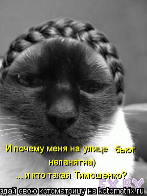 Котоматрица: И почему меня на улице бьют непанятна) ... и кто такая Тимошенко?