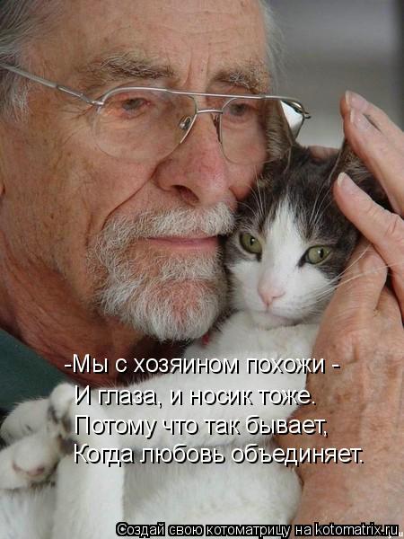 И глаза, и носик тоже. Потому что так бывает, Когда любовь объединяет. -Мы с хозяином похожи -... Котоматрица: И глаза, и носик тоже. Потому что так бывает, Когда любовь объединяет. -Мы с хозяином похожи -