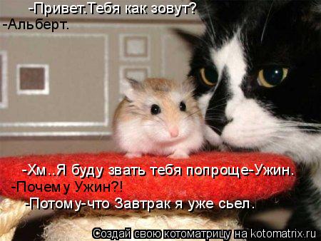 -Привет.Тебя как зовут? -Альберт. -Хм..Я буду звать тебя попроще-Ужин. -Почему Ужин?! -Потому-что Зав... Котоматрица: -Привет.Тебя как зовут? -Альберт. -Хм..Я буду звать тебя попроще-Ужин. -Почему Ужин?! -Потому-что Завтрак я уже сьел.