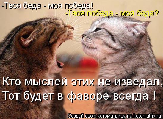 -Твоя беда - моя победа! -Твоя победа - моя беда? Кто мыслей этих не изведал, Тот будет в фаворе всег... Котоматрица: -Твоя беда - моя победа! -Твоя победа - моя беда? Кто мыслей этих не изведал, Тот будет в фаворе всегда !