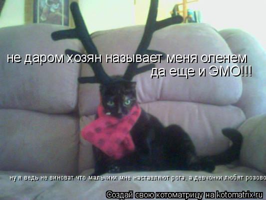 Котоматрица: не даром хозян называет меня оленем да еще и ЭМО!!! ну я ведь не виноват что мальчики мне наставляют рога, а девчонки любят розовое