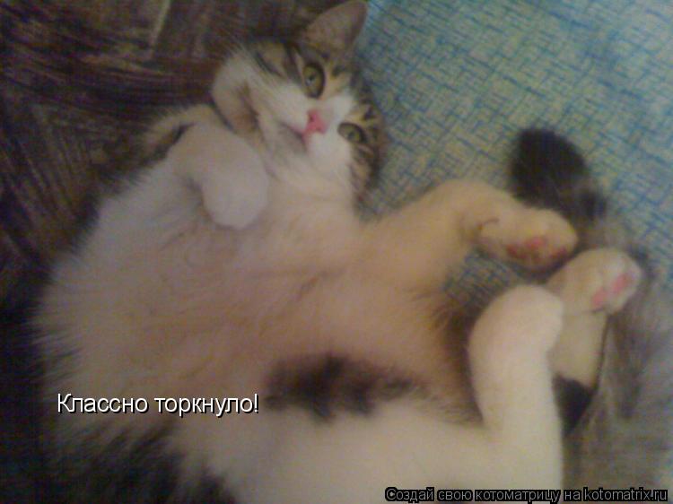 Котоматрица: Классно торкнуло!