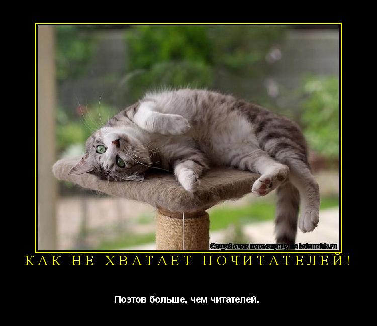 Как не хватает почитателей! Поэтов больше, чем читателей. ... Котоматрица: Как не хватает почитателей! Поэтов больше, чем читателей.
