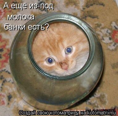 А ещё из-под молока банки есть?... Котоматрица: А ещё из-под молока банки есть?