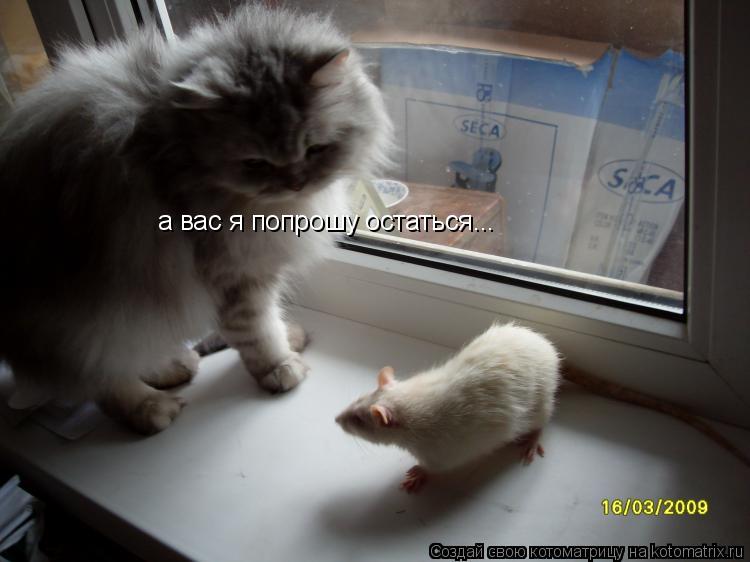Котоматрица: а вас я попрошу остаться...