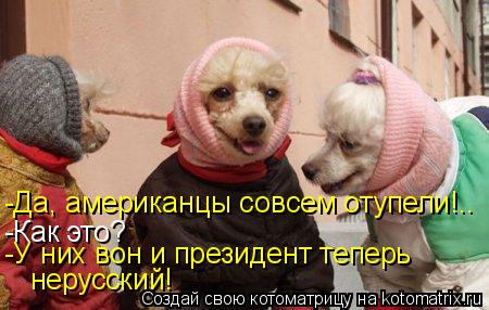 -Да, американцы совсем отупели!.. -Как это? -У них вон и президент теперь нерусский!... Котоматрица: -Да, американцы совсем отупели!.. -Как это? -У них вон и президент теперь нерусский!