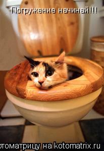 Погружение начинай!!!... Котоматрица: Погружение начинай!!!
