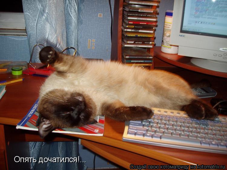 Опять дочатился!...... Котоматрица: Опять дочатился!...