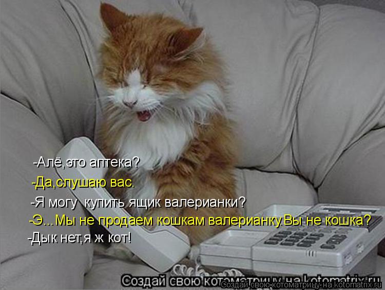 -Алё,это аптека? -Да,слушаю вас. -Я могу купить ящик валерианки? -Э...Мы не продаем кошкам валерианк... Котоматрица: -Алё,это аптека? -Да,слушаю вас. -Я могу купить ящик валерианки? -Э...Мы не продаем кошкам валерианку.Вы не кошка? -Дык нет,я ж кот!
