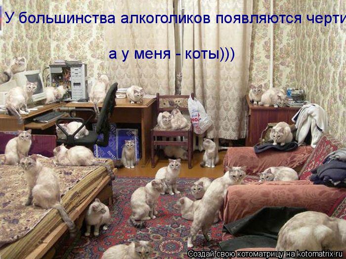 У большинства алкоголиков появляются черти а у меня - коты)))... Котоматрица: У большинства алкоголиков появляются черти а у меня - коты)))