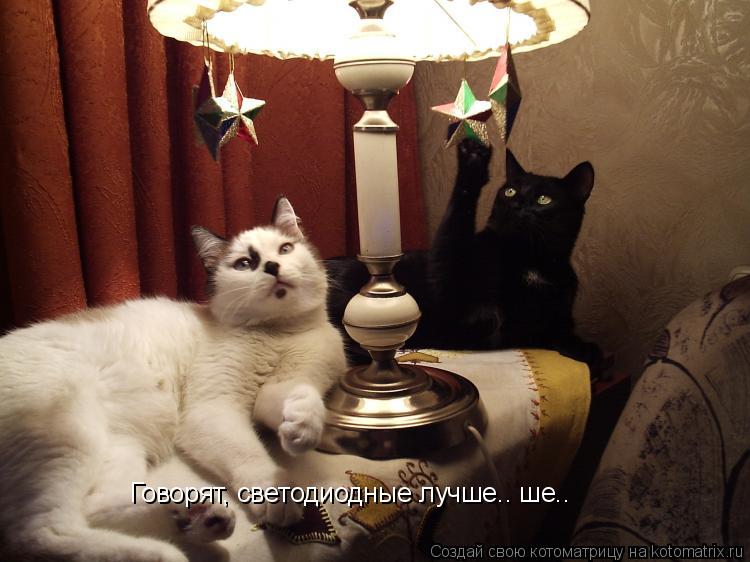 Говорят, светодиодные лучше.. ше..... Котоматрица: Говорят, светодиодные лучше.. ше..