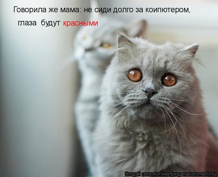 Говорила же мама: не сиди долго за коипютером, глаза будут красными... Котоматрица: Говорила же мама: не сиди долго за коипютером, глаза будут красными