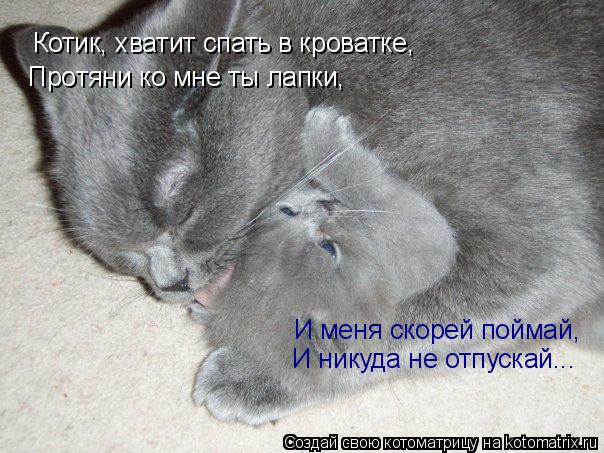 Котик, хватит спать в кроватке, Протяни ко мне ты лапки, И меня скорей поймай, И никуда не отпускай..... Котоматрица: Котик, хватит спать в кроватке, Протяни ко мне ты лапки, И меня скорей поймай, И никуда не отпускай...