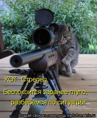 КОТ Стрелец Беспокоится заранее глупо, разберёмся по ситуации.... Котоматрица: КОТ Стрелец Беспокоится заранее глупо, разберёмся по ситуации.