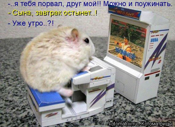 Котоматрица: -..я тебя порвал, друг мой!! Можно и поужинать. - Сына, завтрак остынет..! - Уже утро..?!