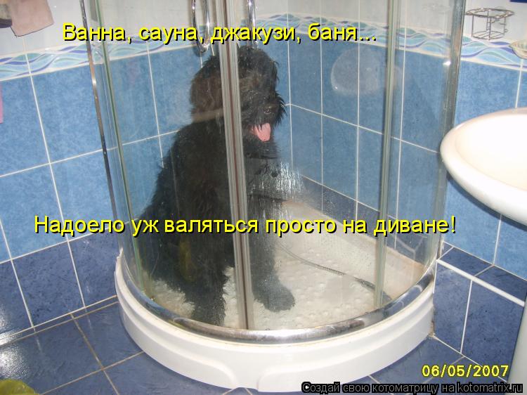 Ванна, сауна, джакузи, баня... Надоело уж валяться просто на диване!... Котоматрица: Ванна, сауна, джакузи, баня... Надоело уж валяться просто на диване!