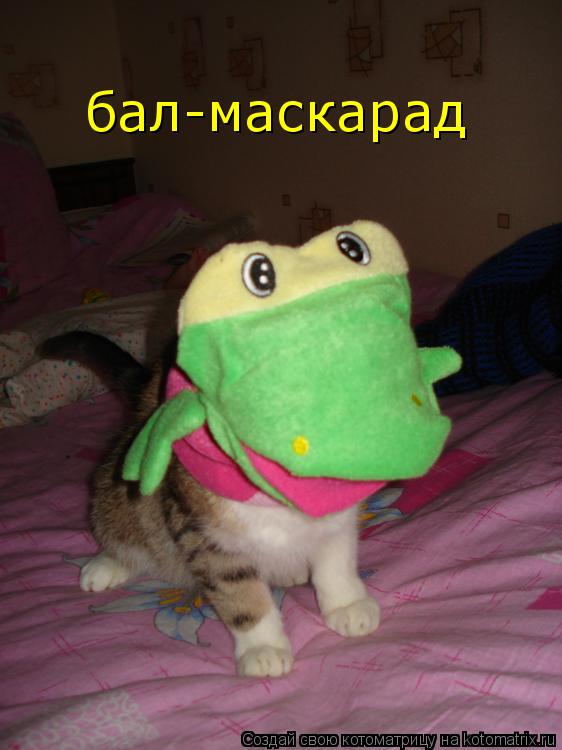 бал-маскарад... Котоматрица: бал-маскарад