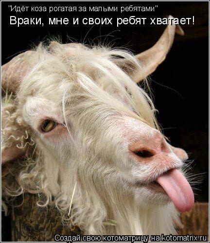 "Идёт коза рогатая за малыми ребятами" Враки, мне и своих ребят хватает!... Котоматрица: "Идёт коза рогатая за малыми ребятами" Враки, мне и своих ребят хватает!