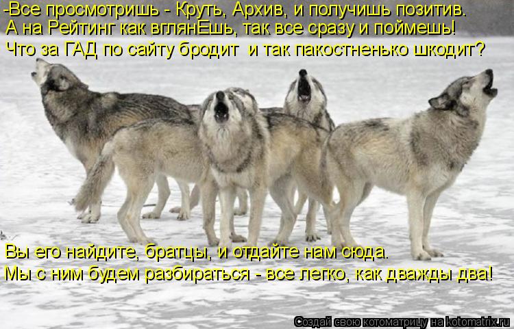 Что за ГАД по сайту бродит и так пакостненько шкодит? -Все просмотришь - Круть, Архив, и получишь по... Котоматрица: Что за ГАД по сайту бродит и так пакостненько шкодит? -Все просмотришь - Круть, Архив, и получишь позитив. А на Рейтинг как вглянЕшь, так все с