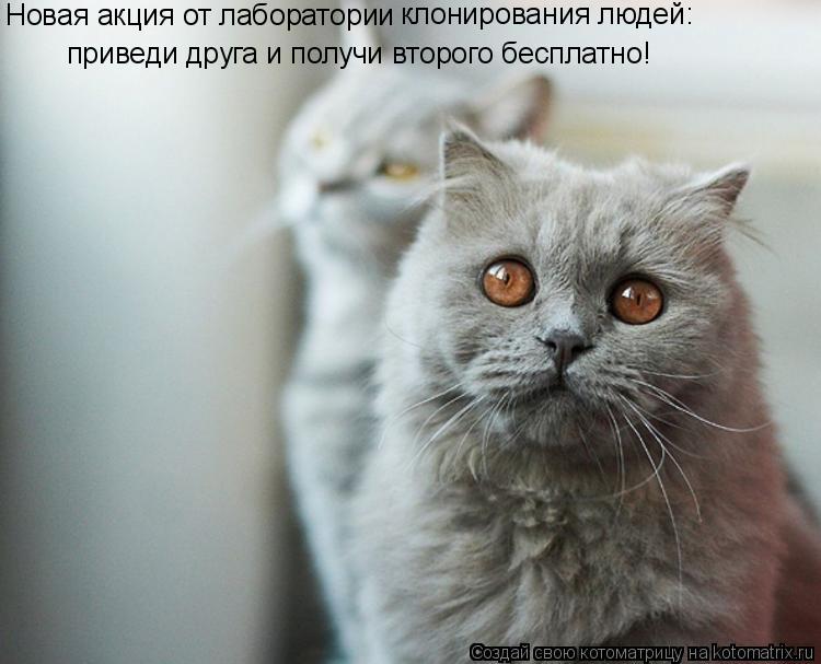 Котоматрица: Новая акция от лаборатории  клонирования людей:  приведи друга и получи второго бесплатно!