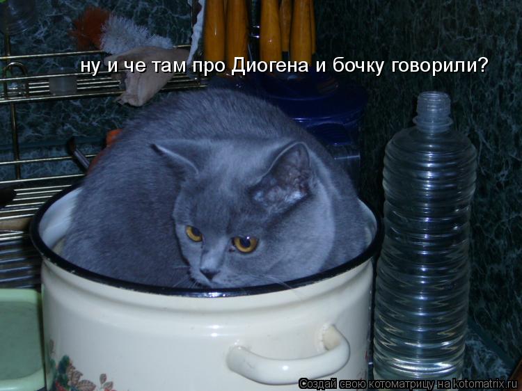 ну и че там про Диогена и бочку говорили?... Котоматрица: ну и че там про Диогена и бочку говорили?