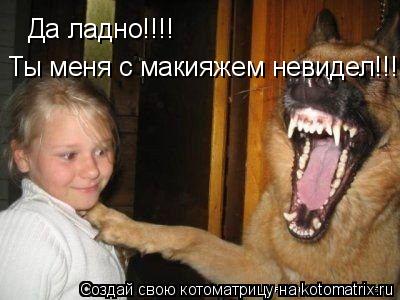 Да ладно!!!! Ты меня с макияжем невидел!!!... Котоматрица: Да ладно!!!! Ты меня с макияжем невидел!!!