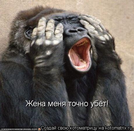 Жена меня точно убёт!... Котоматрица: Жена меня точно убёт!