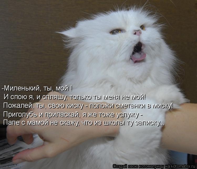 -Миленький, ты, мой ! И спою я, и спляшу, только ты меня не мой! Пожалей, ты, свою киску - положи сме... Котоматрица: -Миленький, ты, мой ! И спою я, и спляшу, только ты меня не мой! Пожалей, ты, свою киску - положи сметанки в миску! Приголубь и приласкай, я же тож
