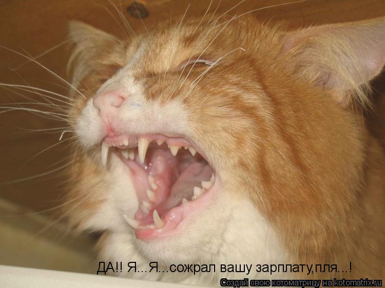 ДА!! Я...Я...сожрал вашу зарплату,пля...!... Котоматрица: ДА!! Я...Я...сожрал вашу зарплату,пля...!
