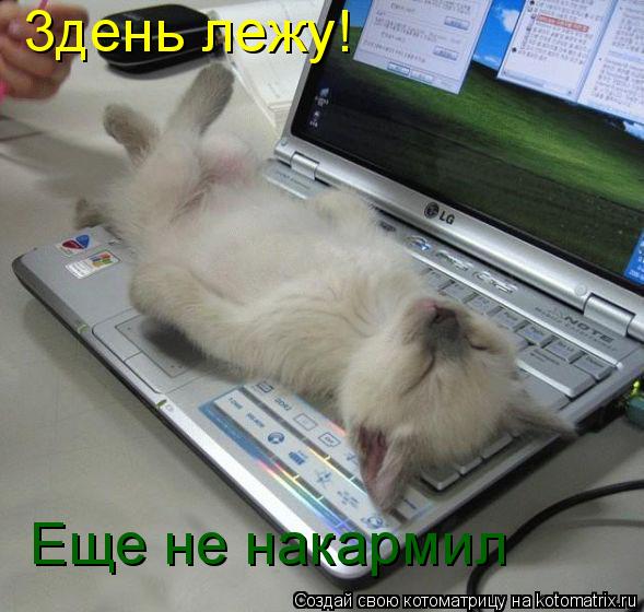 3день лежу! Еще не накармил... Котоматрица: 3день лежу! Еще не накармил