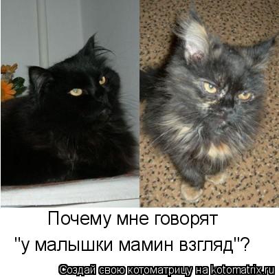 Почему мне говорят "у малышки мамин взгляд"?... Котоматрица: Почему мне говорят "у малышки мамин взгляд"?
