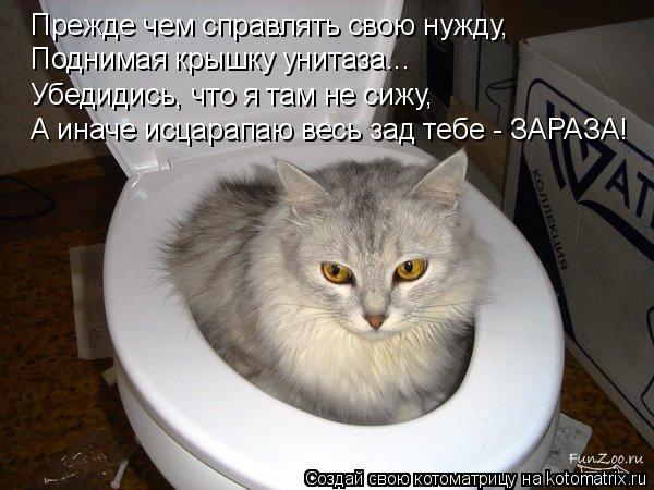 Прежде чем справлять свою нужду, Поднимая крышку унитаза... Убедидись, что я там не сижу, А иначе исц... Котоматрица: Прежде чем справлять свою нужду, Поднимая крышку унитаза... Убедидись, что я там не сижу, А иначе исцарапаю весь зад тебе - ЗАРАЗА!