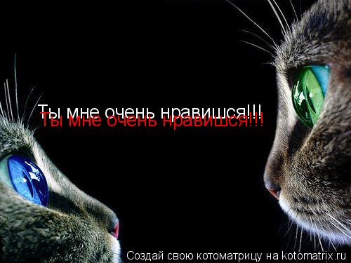 картинки ты мне очень нравишься