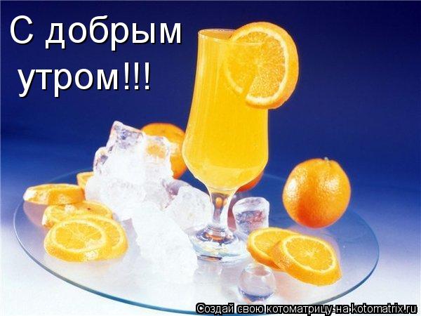 С добрым утром!!!... Котоматрица: С добрым утром!!!