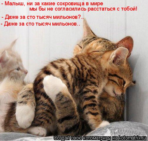 - Малыш, ни за какие сокровища в мире мы бы не согласились расстаться с тобой! - Даже за сто тысяч ми... Котоматрица: - Малыш, ни за какие сокровища в мире мы бы не согласились расстаться с тобой! - Даже за сто тысяч мильонов?.. - Даже за сто тысяч мильонов..