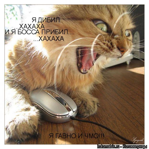 Я ДИБИЛ.. ...ХАХАХА И Я БОССА ПРИБИЛ.... ...ХАХАХА Я ГАВНО И ЧМО!!!... Котоматрица: Я ДИБИЛ.. ...ХАХАХА И Я БОССА ПРИБИЛ.... ...ХАХАХА Я ГАВНО И ЧМО!!!
