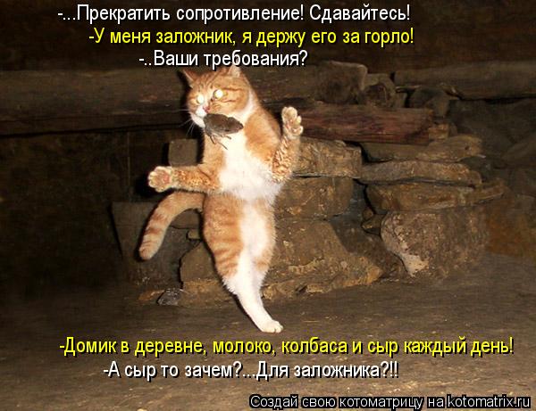 -У меня заложник, я держу его за горло! -..Ваши требования? -Домик в деревне, молоко, колбаса и сыр к... Котоматрица: -У меня заложник, я держу его за горло! -..Ваши требования? -Домик в деревне, молоко, колбаса и сыр каждый день! -А сыр то зачем?...Для заложника?!!