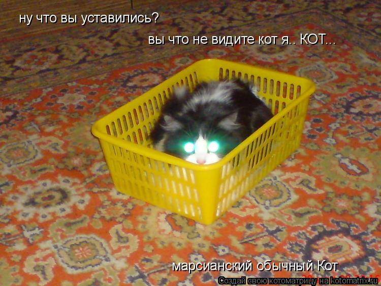 ну что вы уставились? ну что вы уставились? вы что не видите кот я.. КОТ... вы что не видите кот я.. ... Котоматрица: ну что вы уставились? ну что вы уставились? вы что не видите кот я.. КОТ... вы что не видите кот я.. КОТ... марсианский обычный Кот