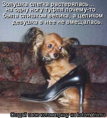 Золушка слегка растерялась... была слишком велика, а целиком на одну ногу туфля почему-то девушка в ... Котоматрица: Золушка слегка растерялась... была слишком велика, а целиком на одну ногу туфля почему-то девушка в нее не вмещалась.