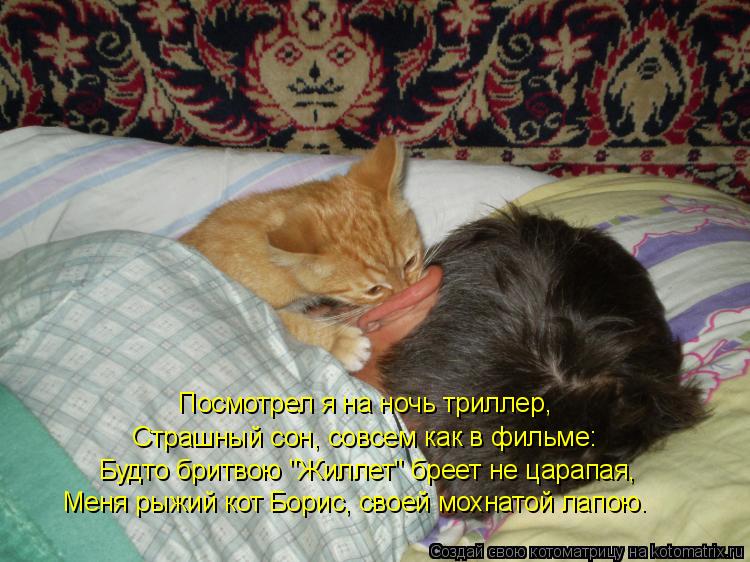Посмотрел я на ночь триллер, Страшный сон, совсем как в фильме: Будто бритвою "Жиллет" бреет не царап... Котоматрица: Посмотрел я на ночь триллер, Страшный сон, совсем как в фильме: Будто бритвою "Жиллет" бреет не царапая, Меня рыжий кот Борис, своей мохнатой
