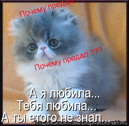 Котоматрица: А я любила... Тебя любила... А ты етого не знал... Почему предал ??? Почему предал ???