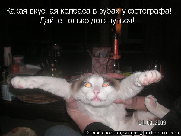 Какая вкусная колбаса в зубах у фотографа! Дайте только дотянуться!... Котоматрица: Какая вкусная колбаса в зубах у фотографа! Дайте только дотянуться!