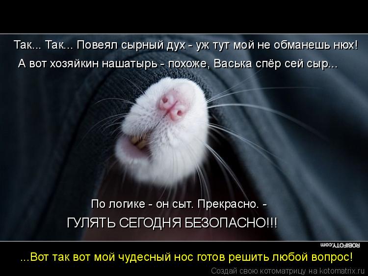 Так... Так... Повеял сырный дух - уж тут мой не обманешь нюх! А вот хозяйкин нашатырь - похоже, Васьк... Котоматрица: Так... Так... Повеял сырный дух - уж тут мой не обманешь нюх! А вот хозяйкин нашатырь - похоже, Васька спёр сей сыр... По логике - он сыт. Прекрасно.