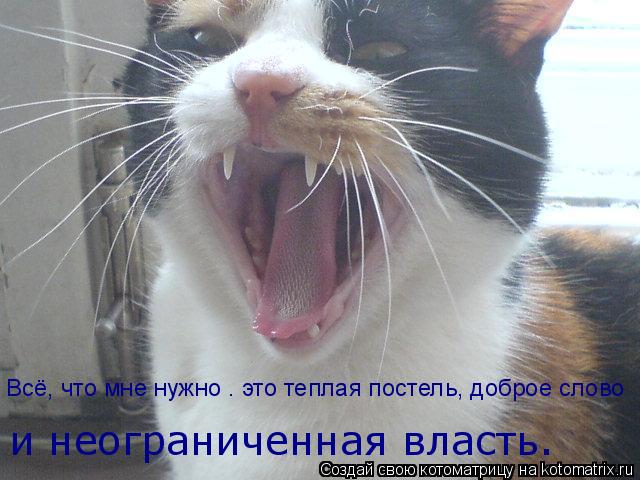 Всё, что мне нужно — это теплая постель, доброе слово и неограниченная власть.... Котоматрица: Всё, что мне нужно — это теплая постель, доброе слово и неограниченная власть.