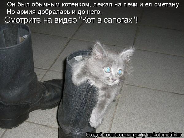 Он был обычным котенком, лежал на печи и ел сметану. Но армия добралась и до него. Смотрите на видео ... Котоматрица: Он был обычным котенком, лежал на печи и ел сметану. Но армия добралась и до него. Смотрите на видео "Кот в сапогах"!