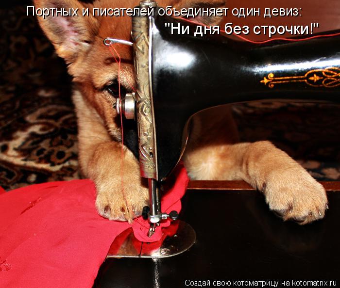 Портных и писателей объединяет один девиз: "Ни дня без строчки!"... Котоматрица: Портных и писателей объединяет один девиз: "Ни дня без строчки!"